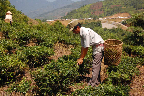 Cùng hành động để “không ai bị bỏ lại phía sau”